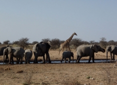 NAMIBIA